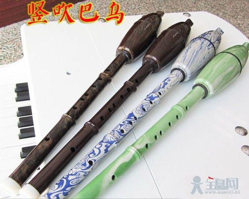 巴烏的樂器種類
